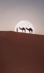 Walking with Nomads in  the Moroccan Sahara chigaga desert trekking