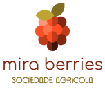 Mira Berries logo