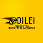 instrutordeautoescolaodilei logo