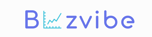 bizivibe logo
