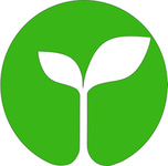 Rawabi logo
