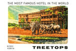 a group of elephants walking through a hotel