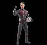 Marvel Legends Ant Man