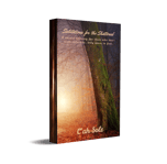 Salutations for the Shattered ebook cover by C'ah Sole with overcast forest