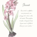 carta oracolo di un fiore