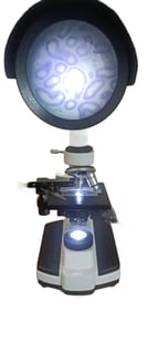 #PROJECTION MICROSCOPE