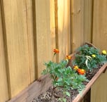 wood fence | garden fence | fishers fence llc