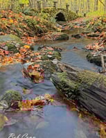 Stone Bridge | Great Smoky Mountains National Park