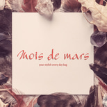 Mois De Mars Bags logo