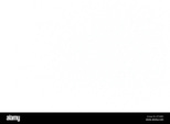 NFP Municipales Nice 2026 logo