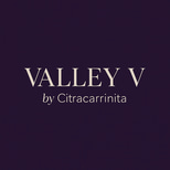 ValleyV logo