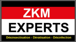 ZKM Experts logo