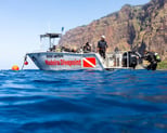 Snorkeling Boat in Funchal, guided tour