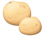 légume tubercule - pomme de terre