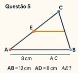 Questão 5