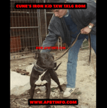 Cune’s Iron Kid 1xw 1xlg ROM