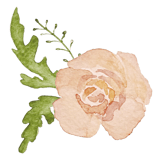 a flower with a green leafy stem