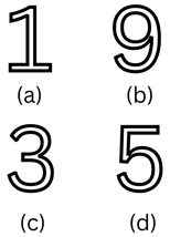 NAPLAN YEAR 3 Symmetry