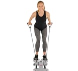 ridding stepper