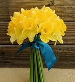 bouquet de jonquilles déposé sur tombe pays de la loire pas cher 14€