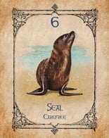 Seal card from the animal spirit oracle deck