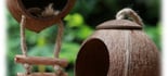 Pet House (Reptile, Hamster, Bird…) , Nhà dành cho thú cưng ( chuột hamster, chim...) UpBe Food VN