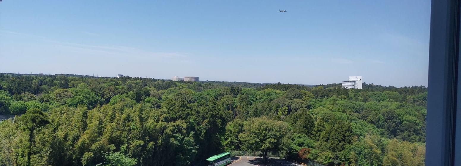 Widok z Hotelu