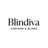 blindiva logo