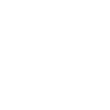ALVARO CONESA PERFORMANCE logo
