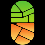 Zambia's Will to Live logo