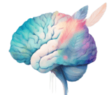 DRAJUNCAL logo