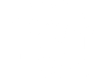 Logo "Leone" in formato png