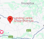 Road map LLG