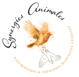 logo de l'entreprise synergies animales, représentant un rouge gorge, des mains et des coquelicots