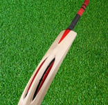 Cricket bat