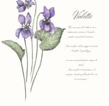 carta oracolo di un fiore
