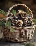 Fragrance pin
