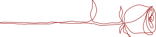 Allure Dance Studios rose outline red