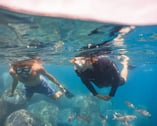 Snorkeling in Funchal, self-guided