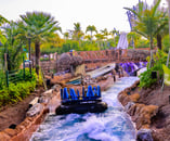 Sea World Florida