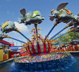 Magic Kingdom