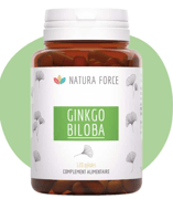 complément alimentaire ginkgo