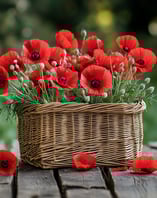Fragrance coquelicot