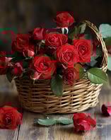 Fragrance rose rouge