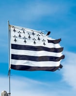 a flag - like flag with a star spangled flag