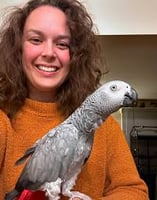 africangreyparrotshop.com