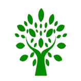 Botánica hexágono amazonico logo