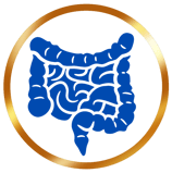 VII Workshop de Doenças Inflamatórias Intestinais - DII do Hospital das Clínicas da FMUSP logo