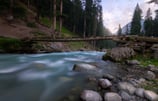 a log bridge over a river with rocks and trees