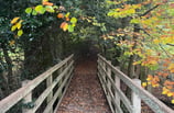 a wooden bridge in to a woodland